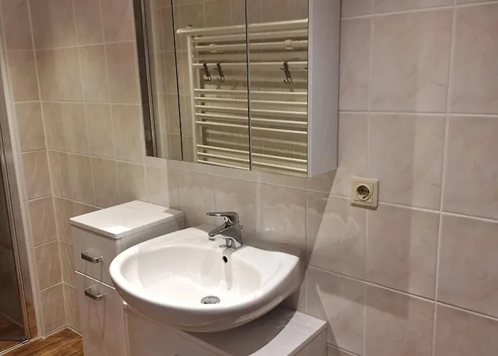 Blick Zum Zirkelstein * Reinhardtsdorf-Schona